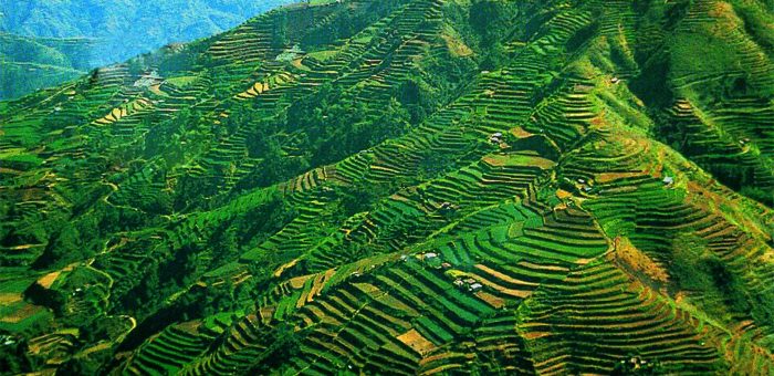 Banaue Rice Terraces