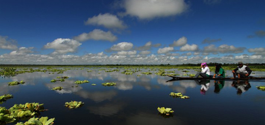 Agusan Marsh