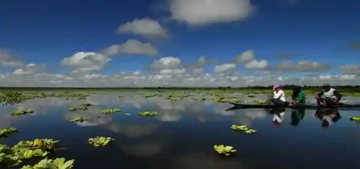 Agusan Marsh