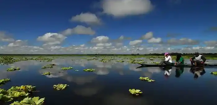 Agusan Marsh