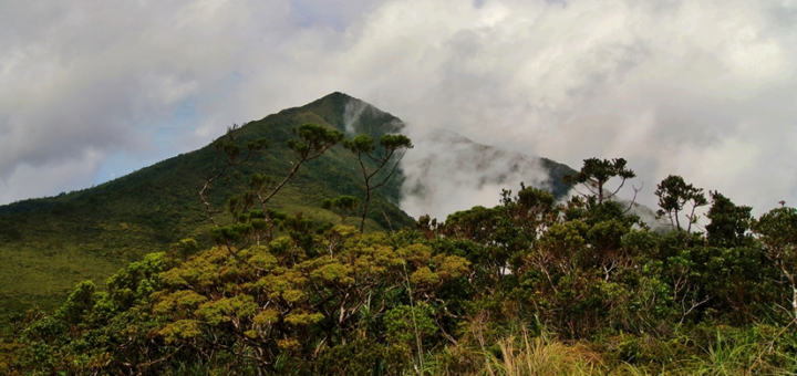 Mount Hamiguitan