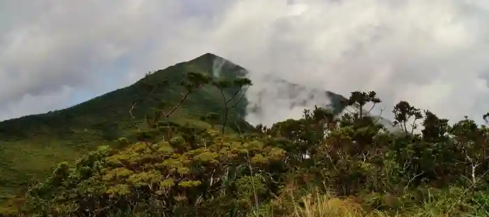 Mount Hamiguitan