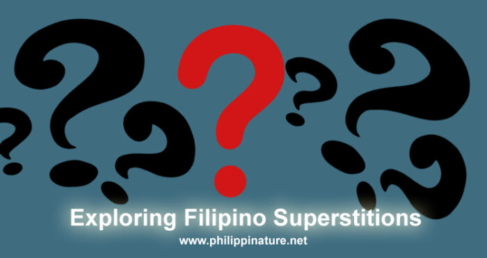 Exploring Filipino Superstitions