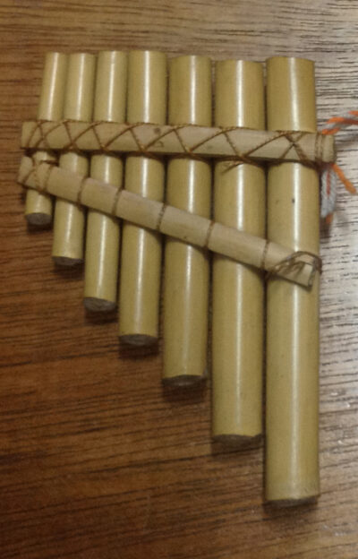 Diwas Musical Instrument